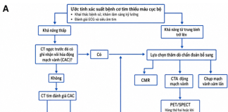Đánh giá bệnh nhân suy tim phân suất tống máu giảm mới khởi phát