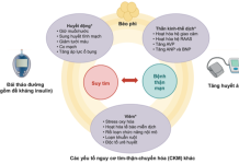 Bệnh thận và suy tim: Những tiến bộ gần đây và các thách thức hiện tại – P1