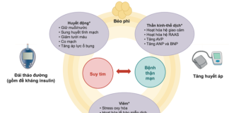 Bệnh thận và suy tim: Những tiến bộ gần đây và các thách thức hiện tại – P1
