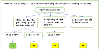 Tóm tắt tiêu chuẩn sử dụng phù hợp cấy máy khử rung tim, điều trị tái đồng bộ tim và tạo nhịp của Acc/Aha/Ase/Hfsa/Hrs/Scai/Scct/Scmr (năm 2025) – P9